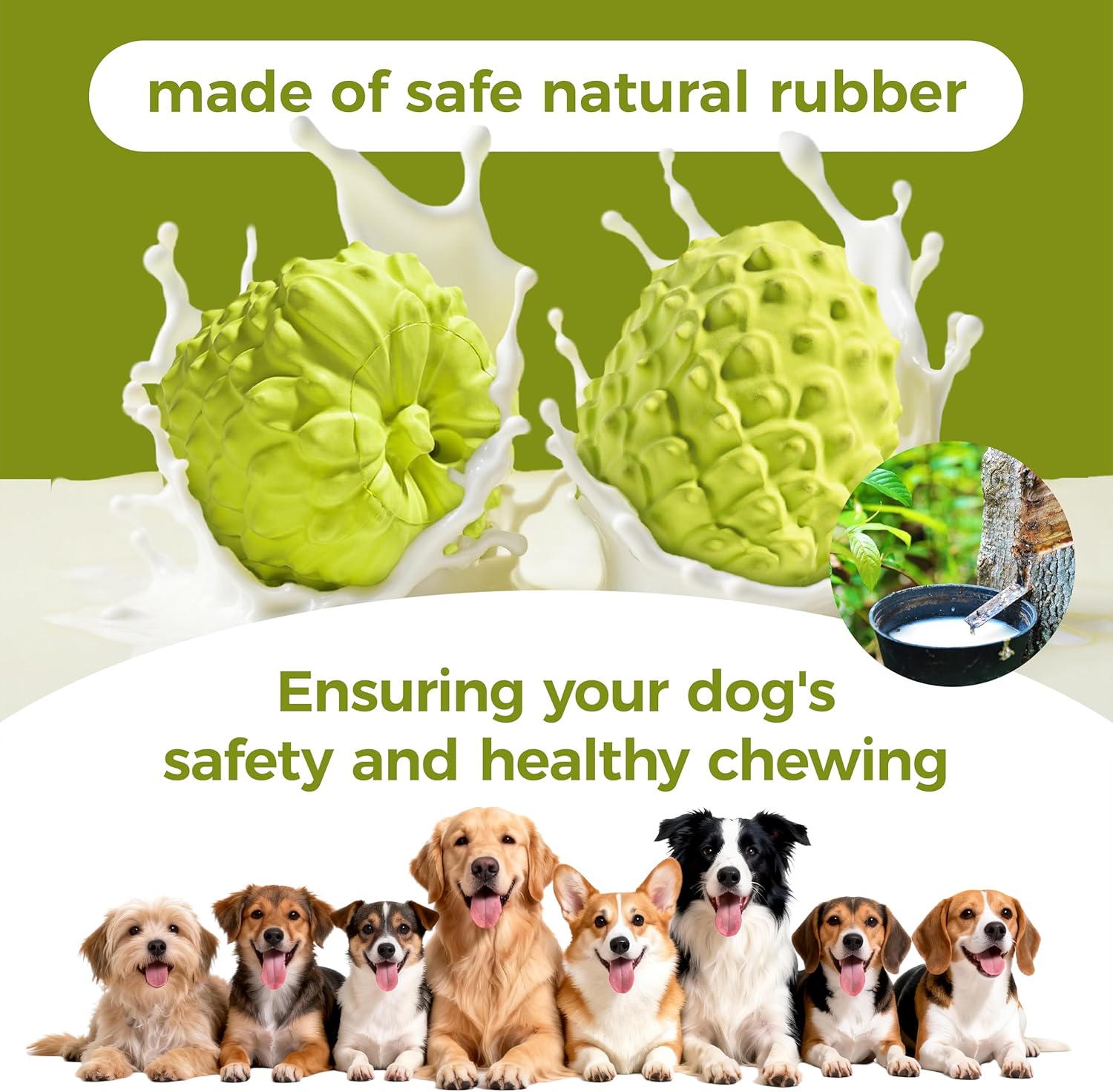 Tough Squeaky Chew Toy for Dogs – Natural Rubber, Fun & Durable