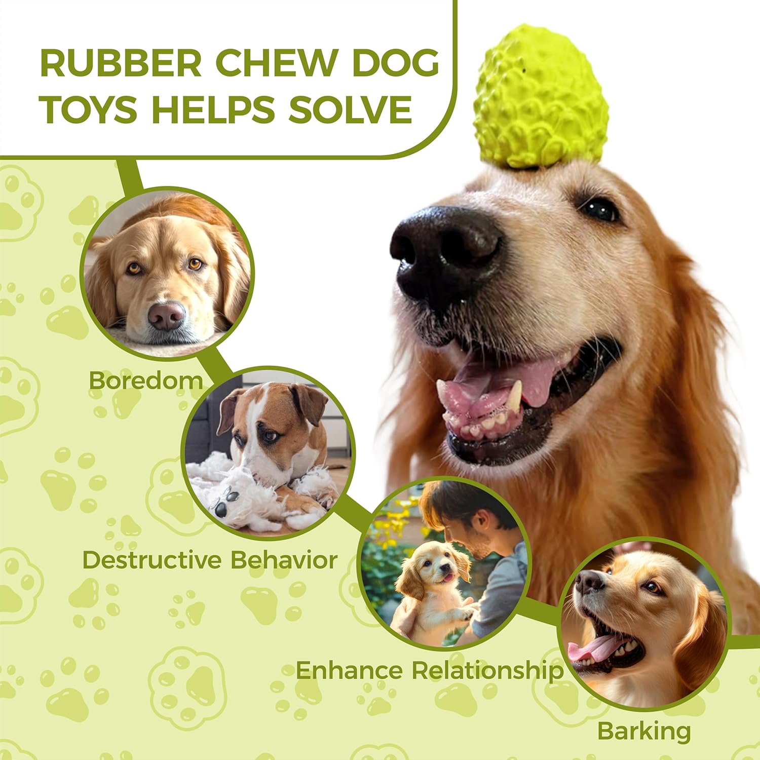 Tough Squeaky Chew Toy for Dogs – Natural Rubber, Fun & Durable