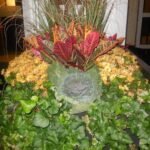 Vintage Nikon COOLPIX S6500 Wi-Fi Digital ❤️ 📸 - Image 6