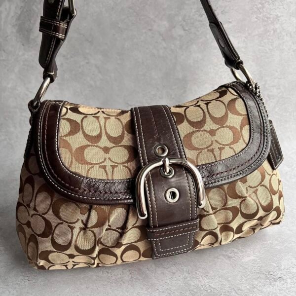 Coach signature soho buckle shoulder bag 🍒✨💕