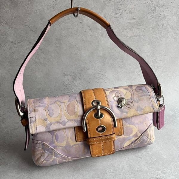 Coach signature ladybug buckle shoulder bag 🍒✨💕