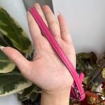 Coach Signature Vachetta Hand/Shoulder Bag - Pink/Tan/Silver 🍒✨💕 - Image 4