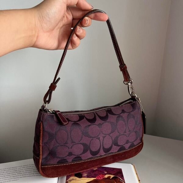 Coach Signature Demi Pouch - Purple/ Burgundy/ Silver 🍒✨💕